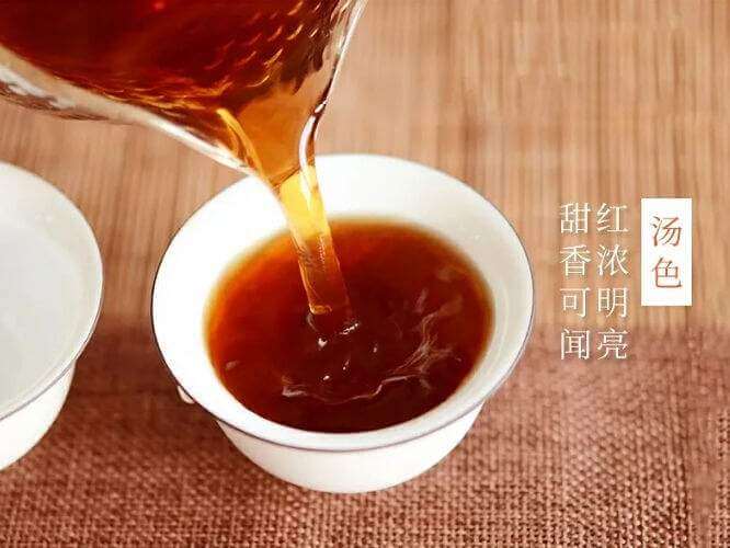 束氏茶界加盟費用